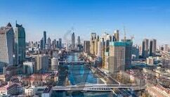 世界杯意大利vs阿根廷-世界杯意大利与阿根廷的巅峰对决